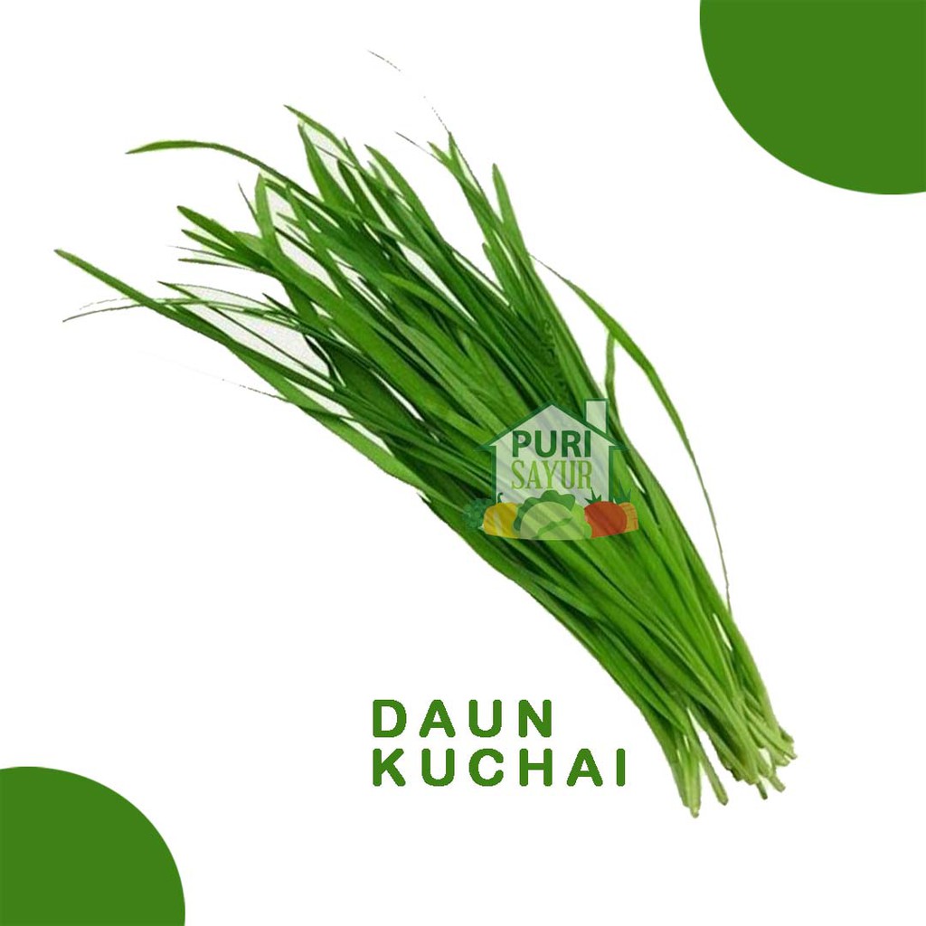 

DAUN KUCHAI /ikat