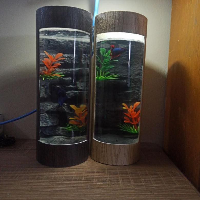 Diskon (Promo) Aquarium / Akuarium Mini Ikan Cupang Betta Ikan Hias Wallpaper 3D Lampu Tidur Kamar