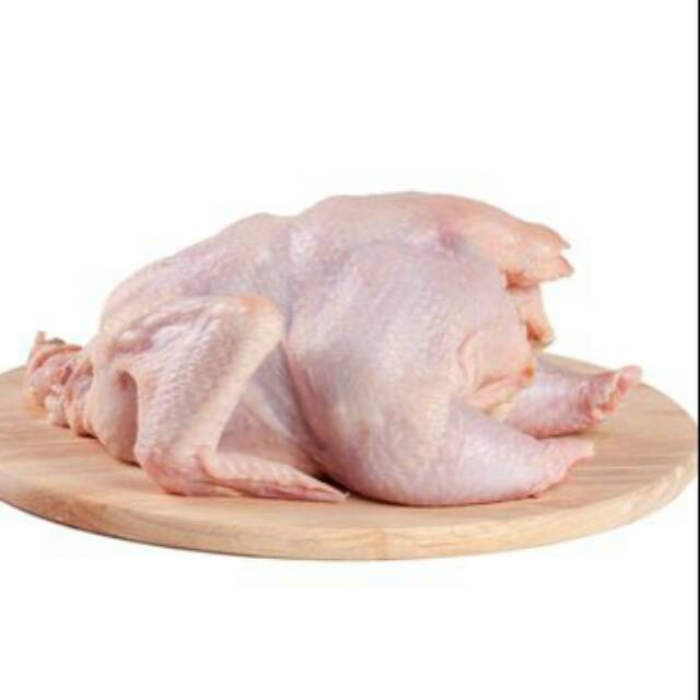 Dada ayam fillet frozen