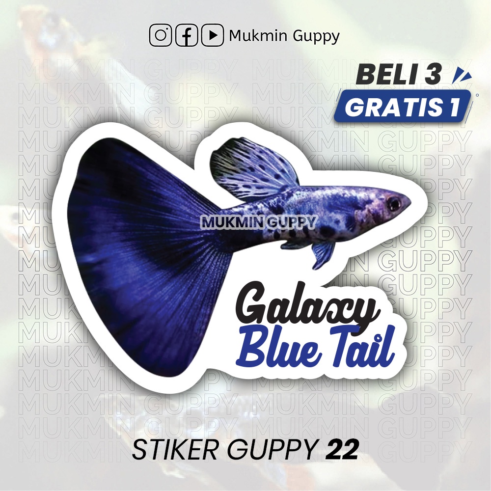 

Stiker Guppy (22) Galaxy Blue Tail