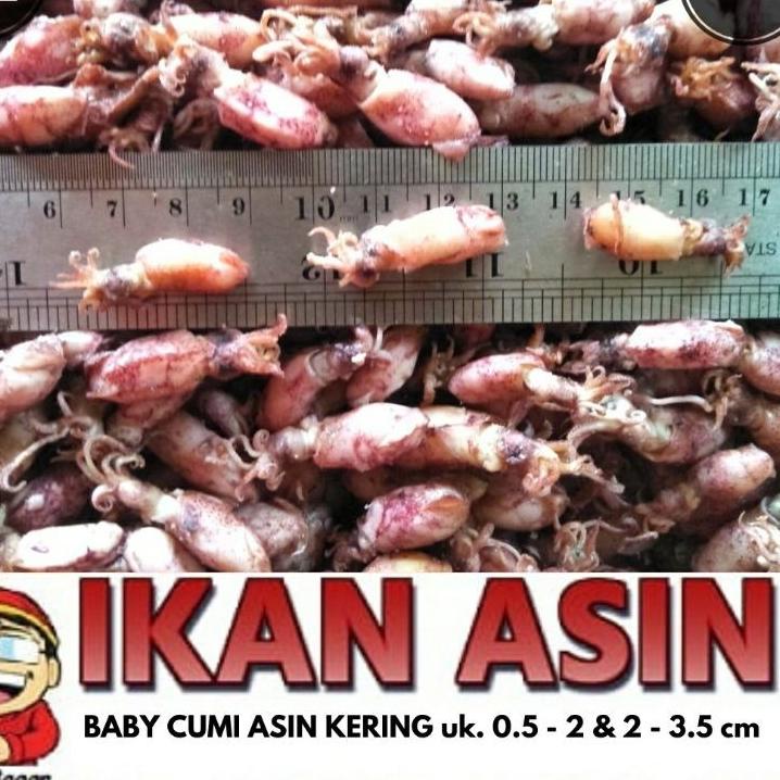 

New! BABY CUMI ASIN KERING 1 kg ン