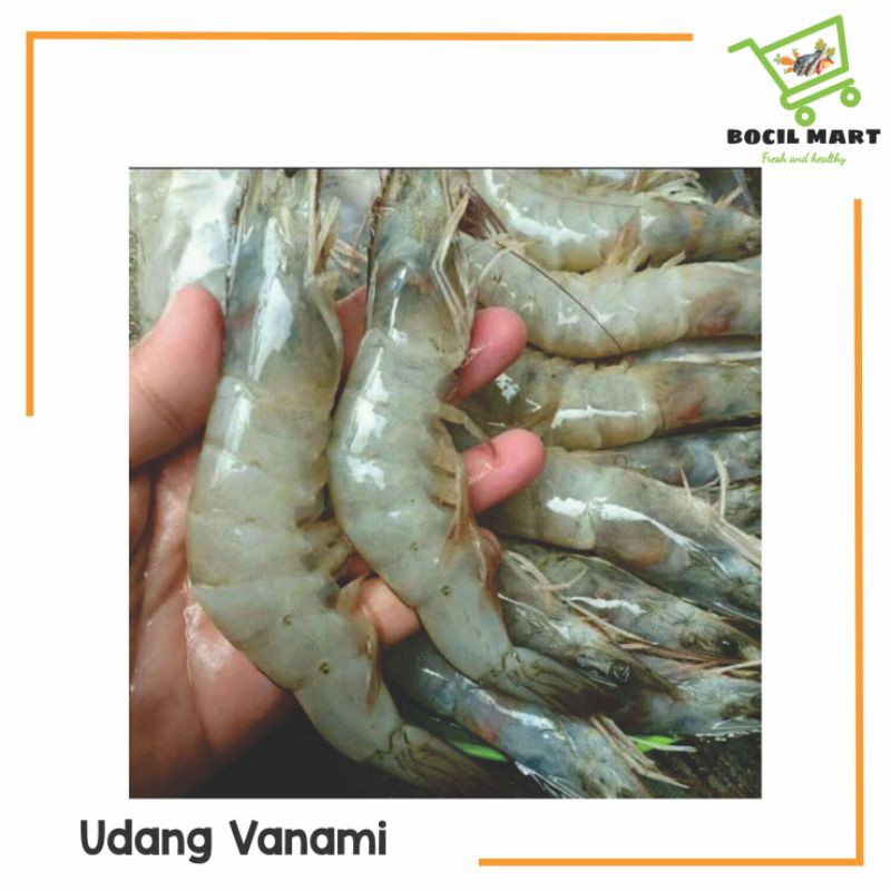 

UDANG VANAMI 250GR SEGAR BOCIL MART