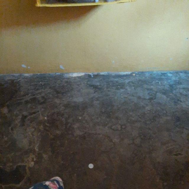 Tape Grafting Self Adhesive Untuk Sambung Tanaman