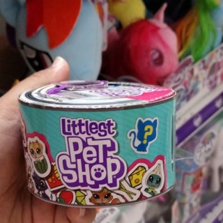 pet shop pets for sale