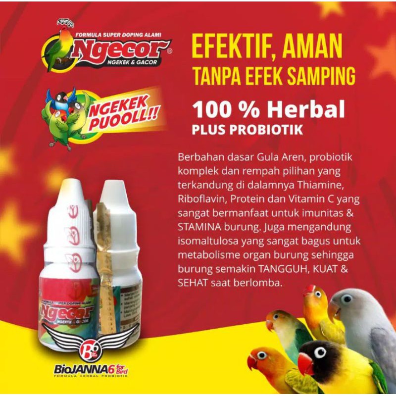 NGECOR POWER GACOR BIOJANNA DOPING BURUNG LOVEBIRD|DOPING BURUNG LOMBA|NGEKEK|NGECOR DOPING LOVEBIRD