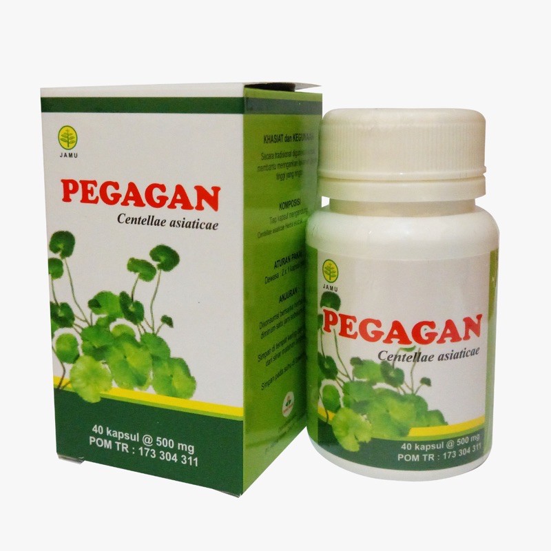 

Obat Herbal Pegagan | Herbal Insani