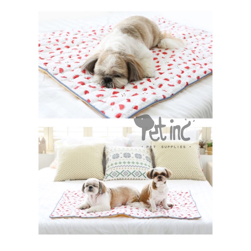 Itsdog cooling mat korea