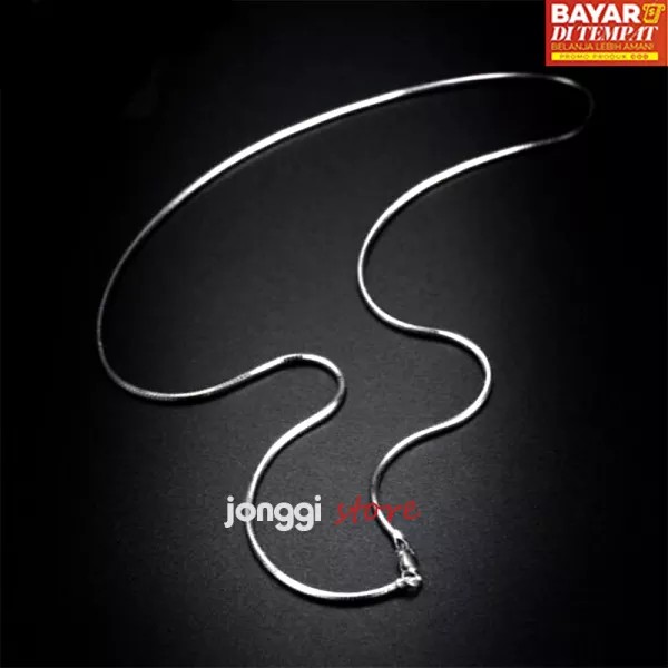 Kalung SILVER Pria kalung Wanita kalung titanium anti karat tidak alergi saat di pakai kalung elegan