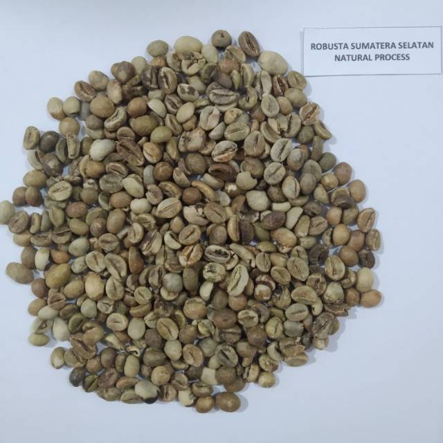

Green Bean Robusta Sumatra Selatan kopi Coffee Natural Process 1kg