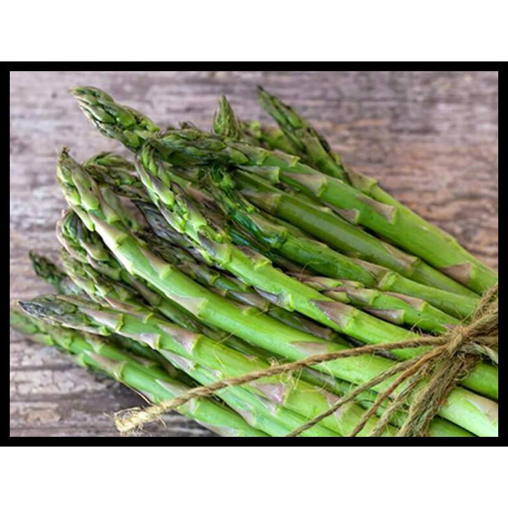 BENIH / BIBIT / BIJI - ASPARAGUS F1 VARIETAS UC800 HIBRIDA - IMPORT