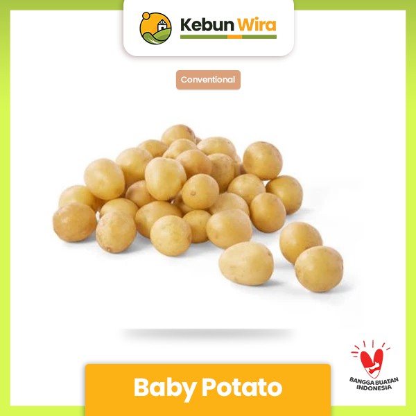 

Baby Potato Convetional