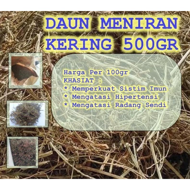 

Daun Meniran Kering Asli 500gr | Sebagai Antioksidan