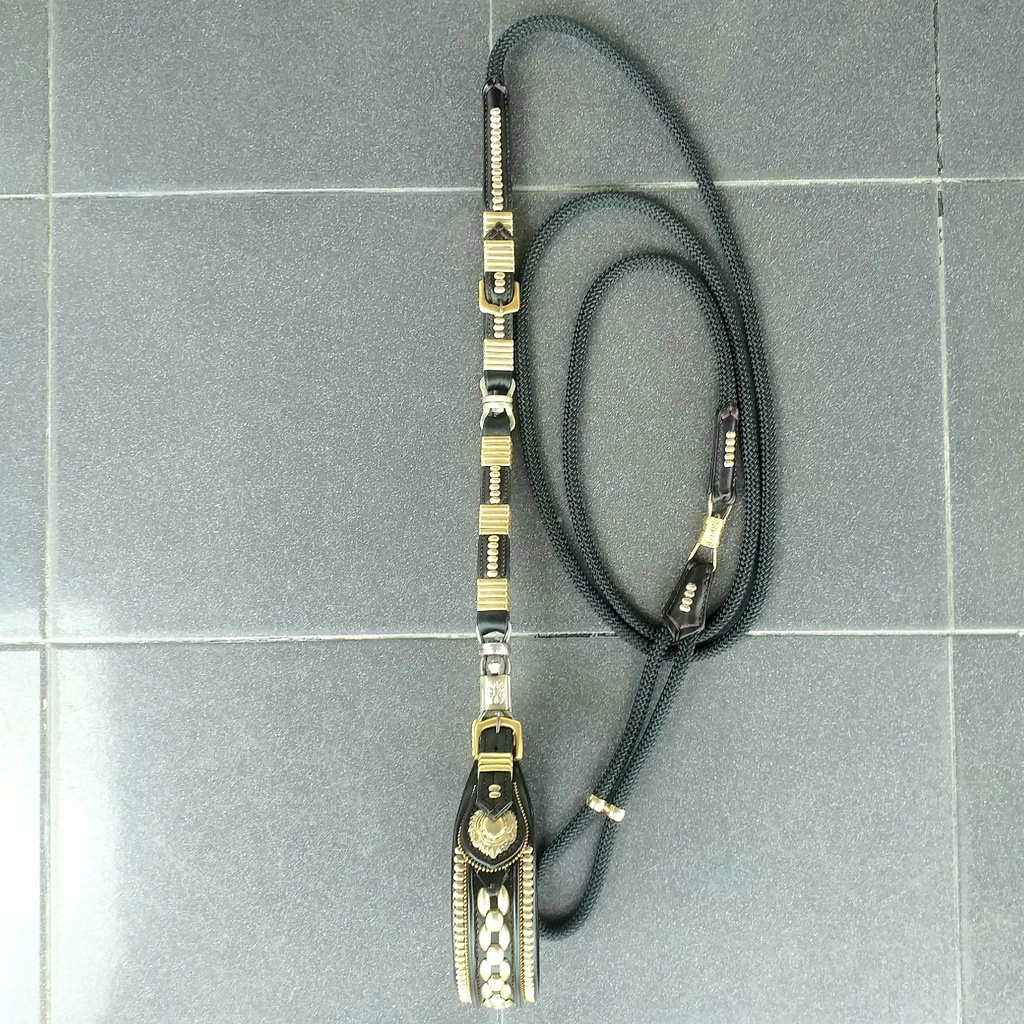 Tali Kala Petik Sambung 2 Lestop Kuning Selayang - Leather Dog Collar and Leash - Tali Tuntun Anjing