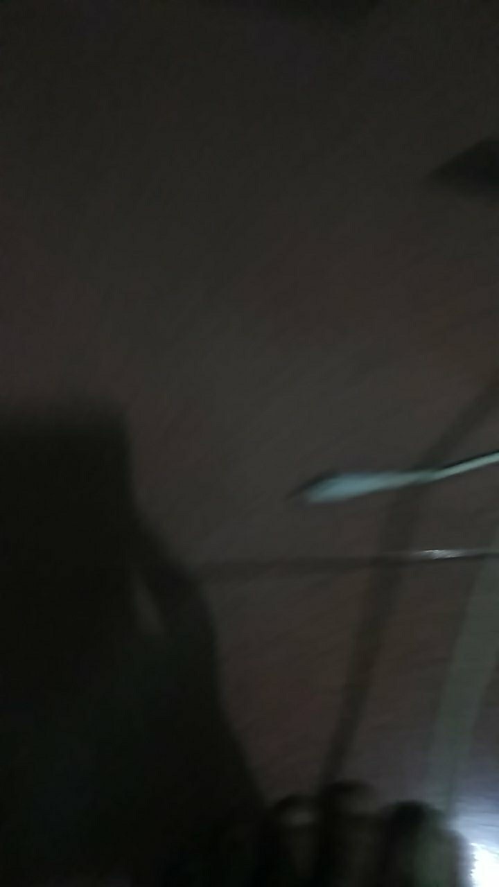 Tanaman Hias Aglonema Big Roy / Lulaiwan