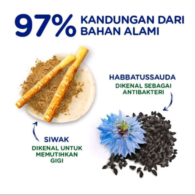 Pepsodent Complete 8 Siwak &amp; Habbatussauda 150 + 40gr