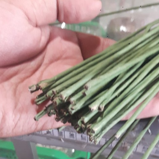 Kawat Bunga Tebal Tangkai Bunga 4mm Kawat Buket Bunga Kawat Bunga Tebal Tangkai Bunga 4mm Kawat Buket Bunga