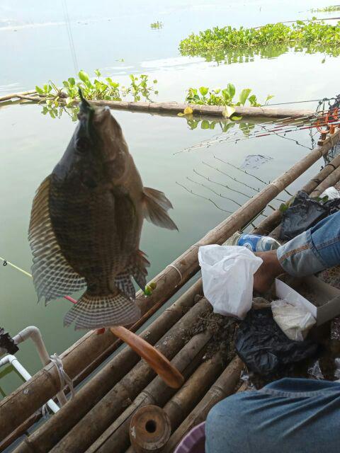 As Segi 4 Besi 19 Mm Steel Square Bar Segi Empat Besi
