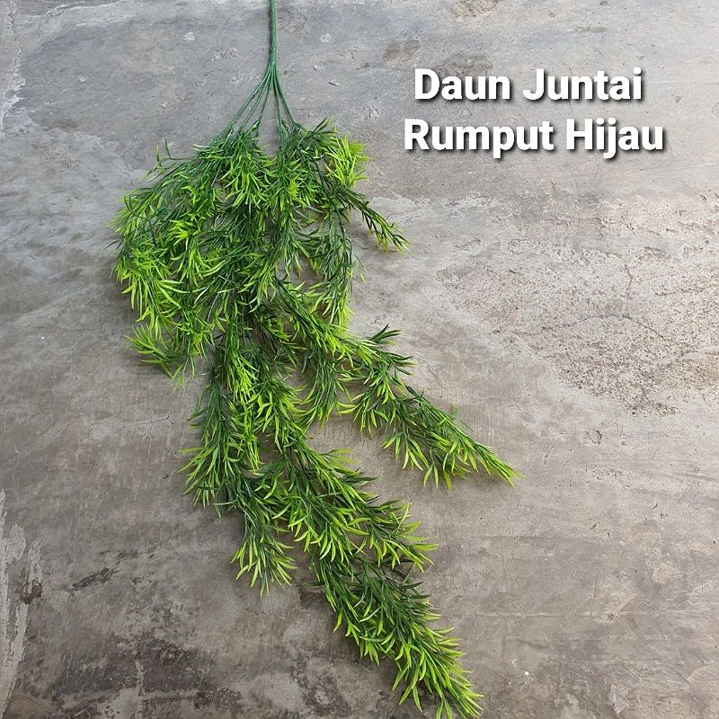 Daun Juntai hias / daun gantung merambat ( tanpa pot )