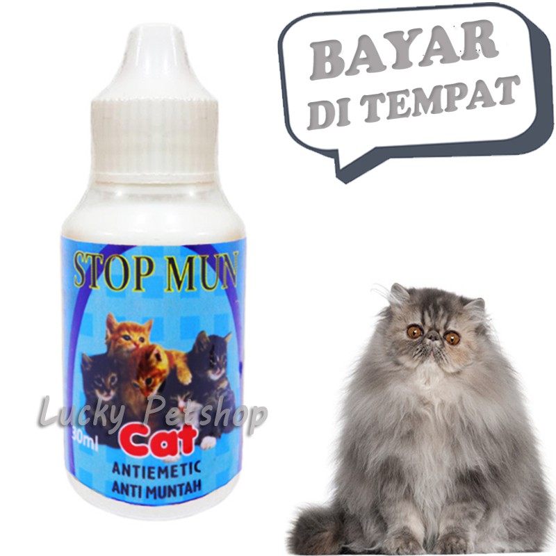 OBAT MUNTAH KUCING STOP MUN SAKIT PERUT