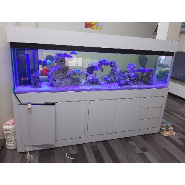 Paket Aquarium 1Meter Full Set Up
