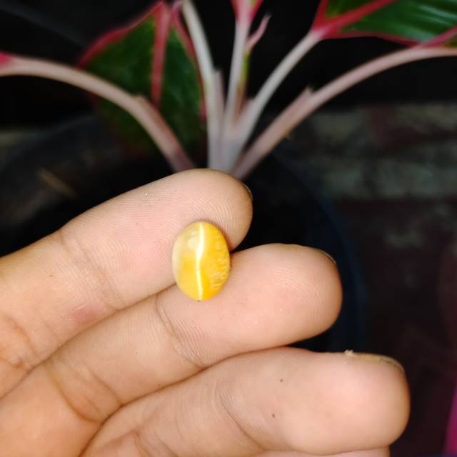 Batu cat eye yellow asli natural batu mata kucing kuning