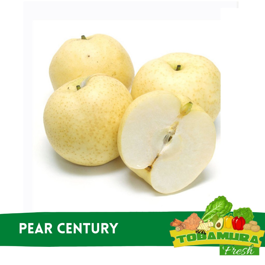 

Pear Century - 3 Pcs (Tobamura Fresh)