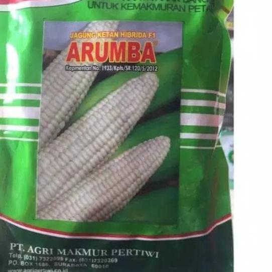 ✪ Benih / bibit jagung putih pulut manis ARUMBA jagung arumba 250 gr dari benih pertiwi ✭