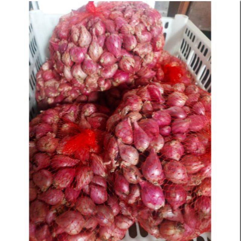 

Bawang merah brebes