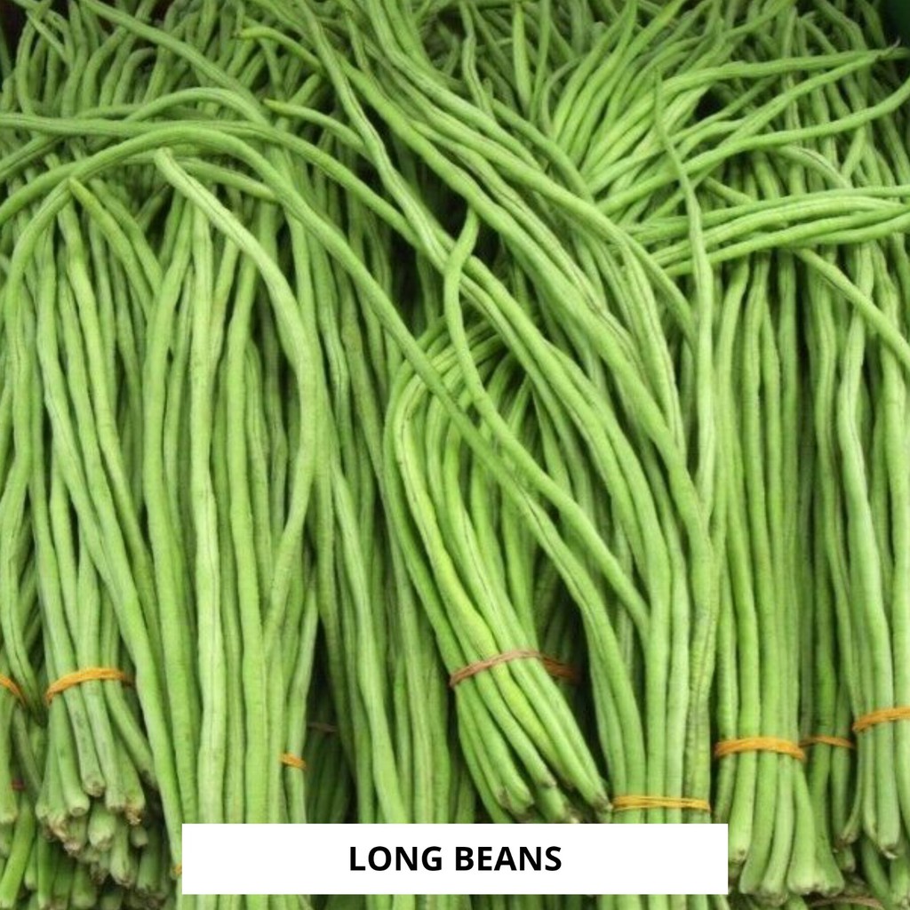 

Kacang Panjang 250gr