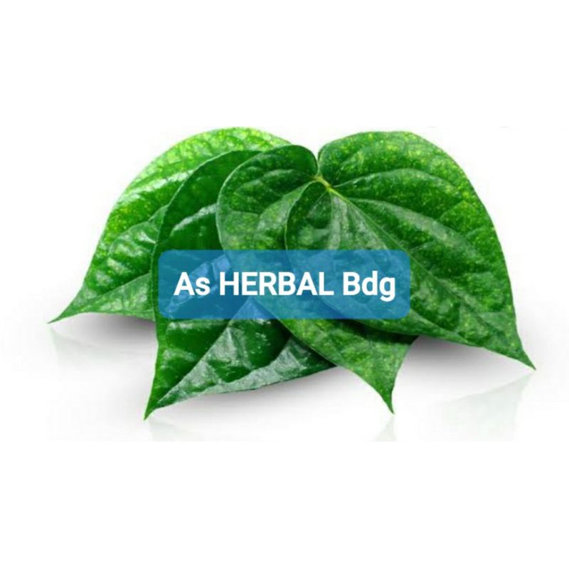 

Paket hemat daun sirih hijau segar 250 gram-az