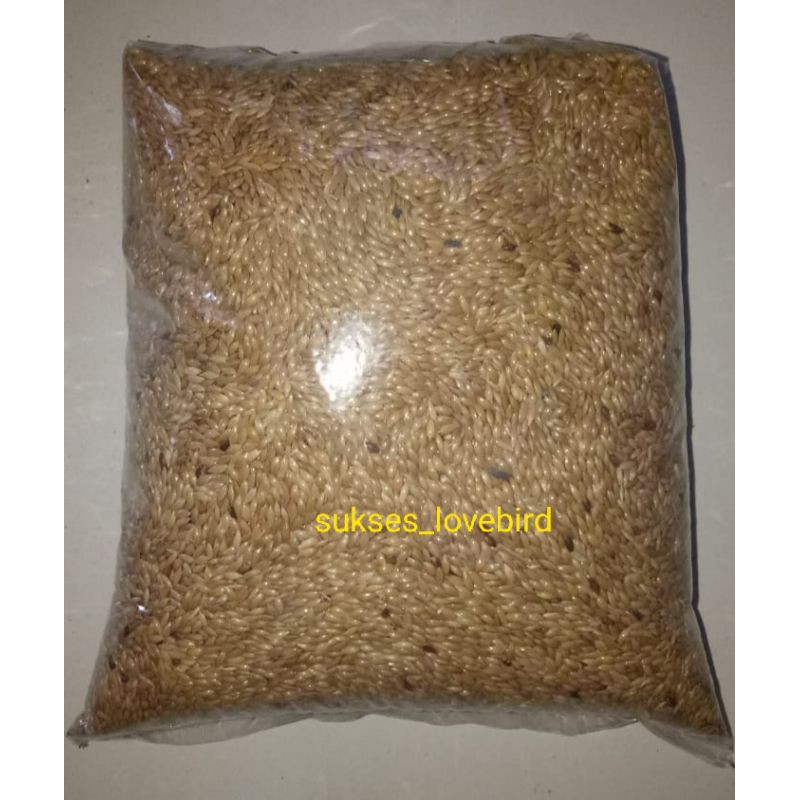 Jual Makanan Burung Kenari Seed Kg Shopee Indonesia