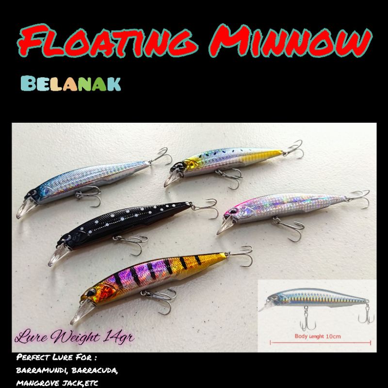 Floating Minnow Killer Casting Barramundi / Mangrove jack / Barracuda offshore Casting