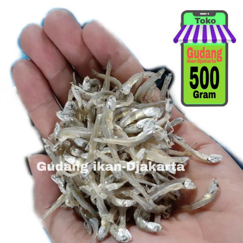 

ikan asin teri bontio medan netto-500gram