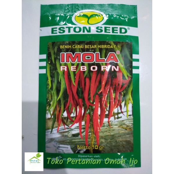 Cabe Imola Reborn F1 Cabe Besar Hibrida Kemasan 10gr Original Pabrik Eston Seed