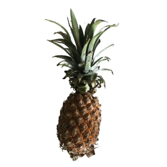 

(KIRIM INSTAN) NANAS SATAUN
