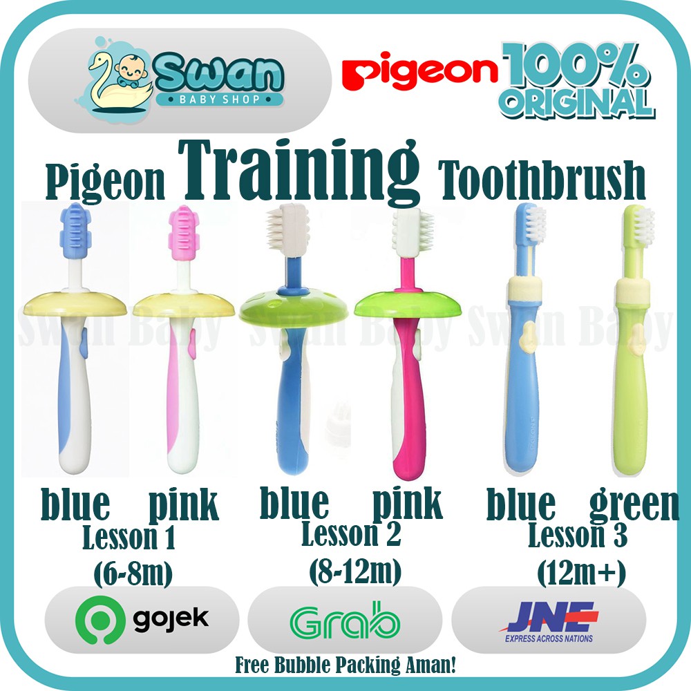 Pigeon Training Toothbrush Lesson ( L-1 / L-2 / L-3 )