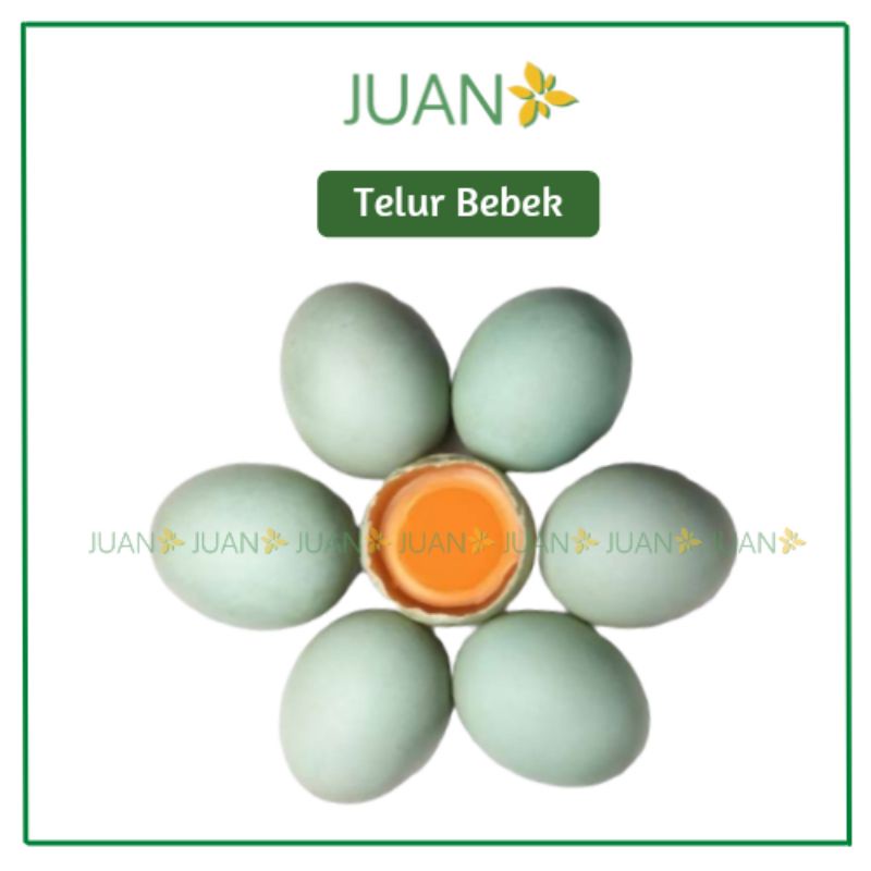 

Telur Bebek 1 Butir - Juan Freshmart