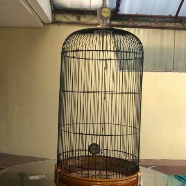 Kandang bnr pvc natural/kandang bnr lovebird/kandang pvc narural bnr/kandang burung lovebird BNR