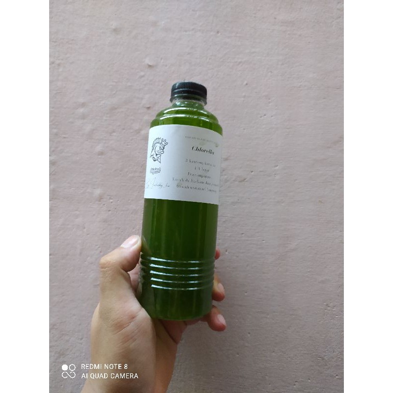 Chlorella atau green Water