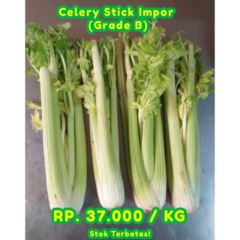 

Celery Stick Impor China (Grade B)