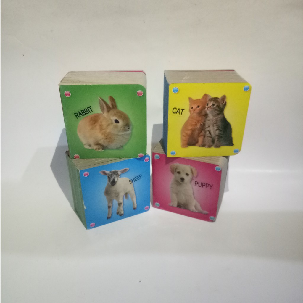 BUKU ANAK BOARBOOK IMPOR