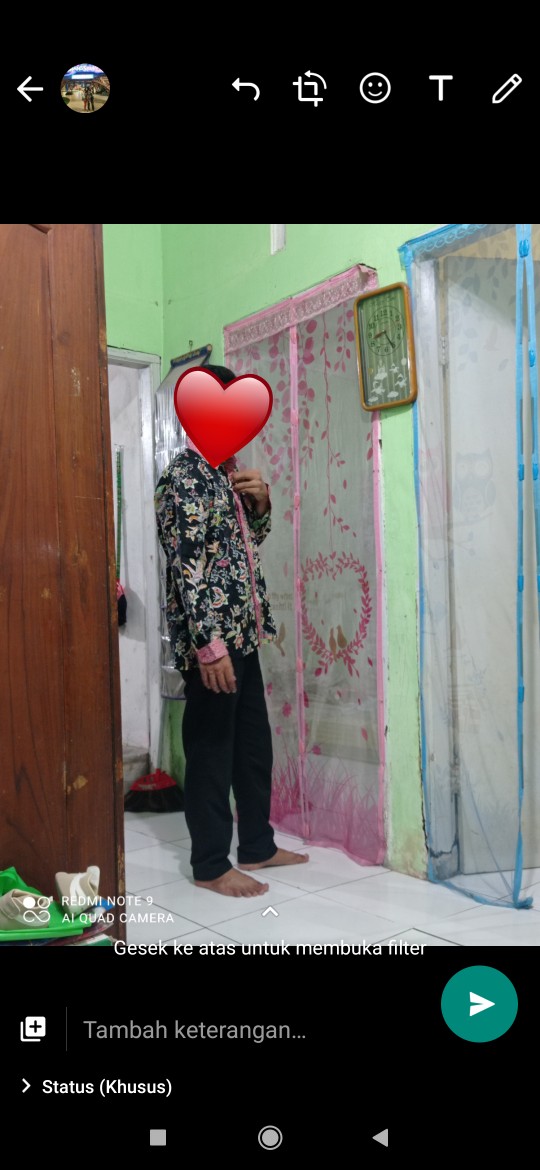 Bswart Batik Hrb026 Kenongo Padi Pekalongan M L Xl Batik Pria Murah Modern Grosir