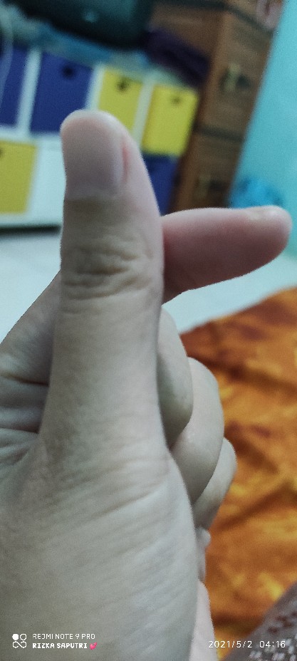 Alumunium Foil Cup K1452 Tanpa Tutup