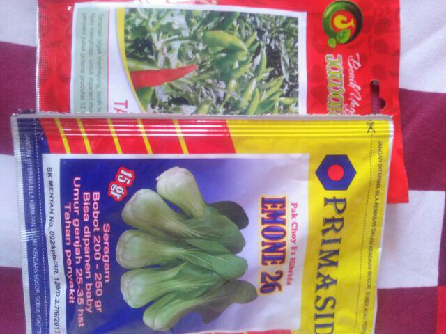 Benih/bibit Sawi Emone 26 F1