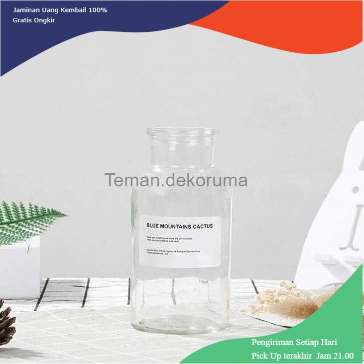 TD - PR1 DDSSTORE Vas Bunga Dekorasi Bottle Vases Flower Pot 500ml - EN549