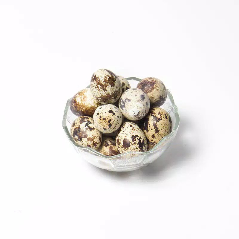 

Telur Puyuh Matang (Rebus/10 Butir)