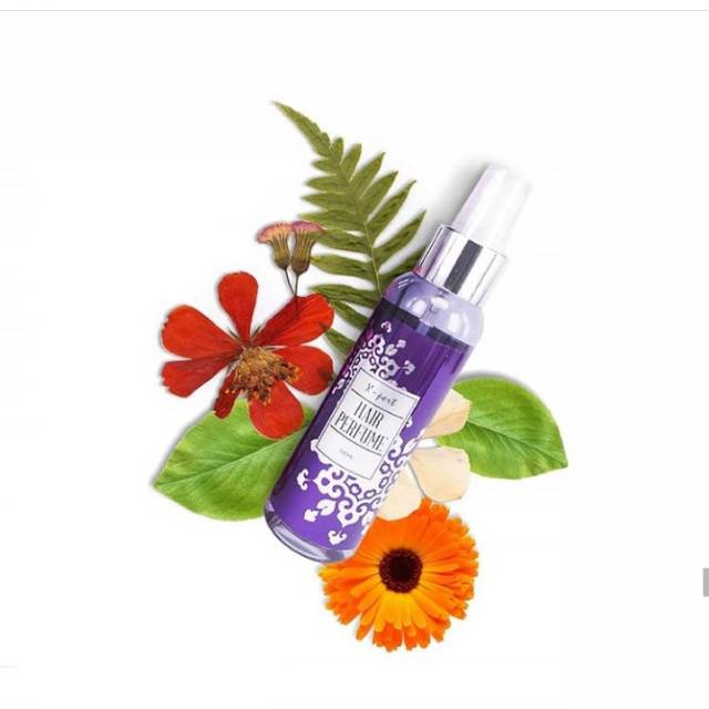X-pert hair parfum
