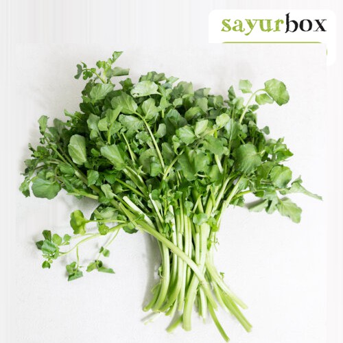 Selada Air Conventional 250 gram (Sayurbox) - SURABAYA
