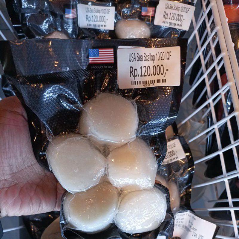 

US Sea Scallop 10/20