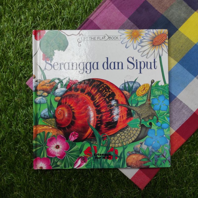 Serangga dan Siput - Lift The Flap Book Erlangga For Kids